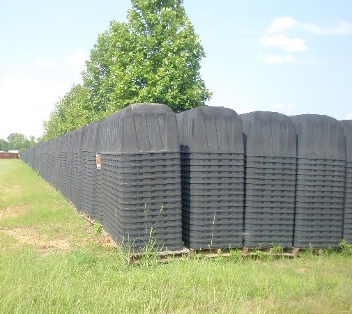 coffins