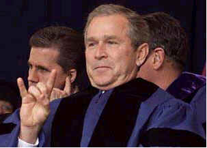 bush