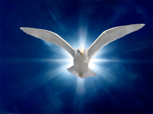 Holy Ghost