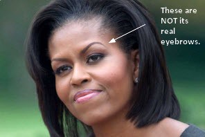 eyebrows???